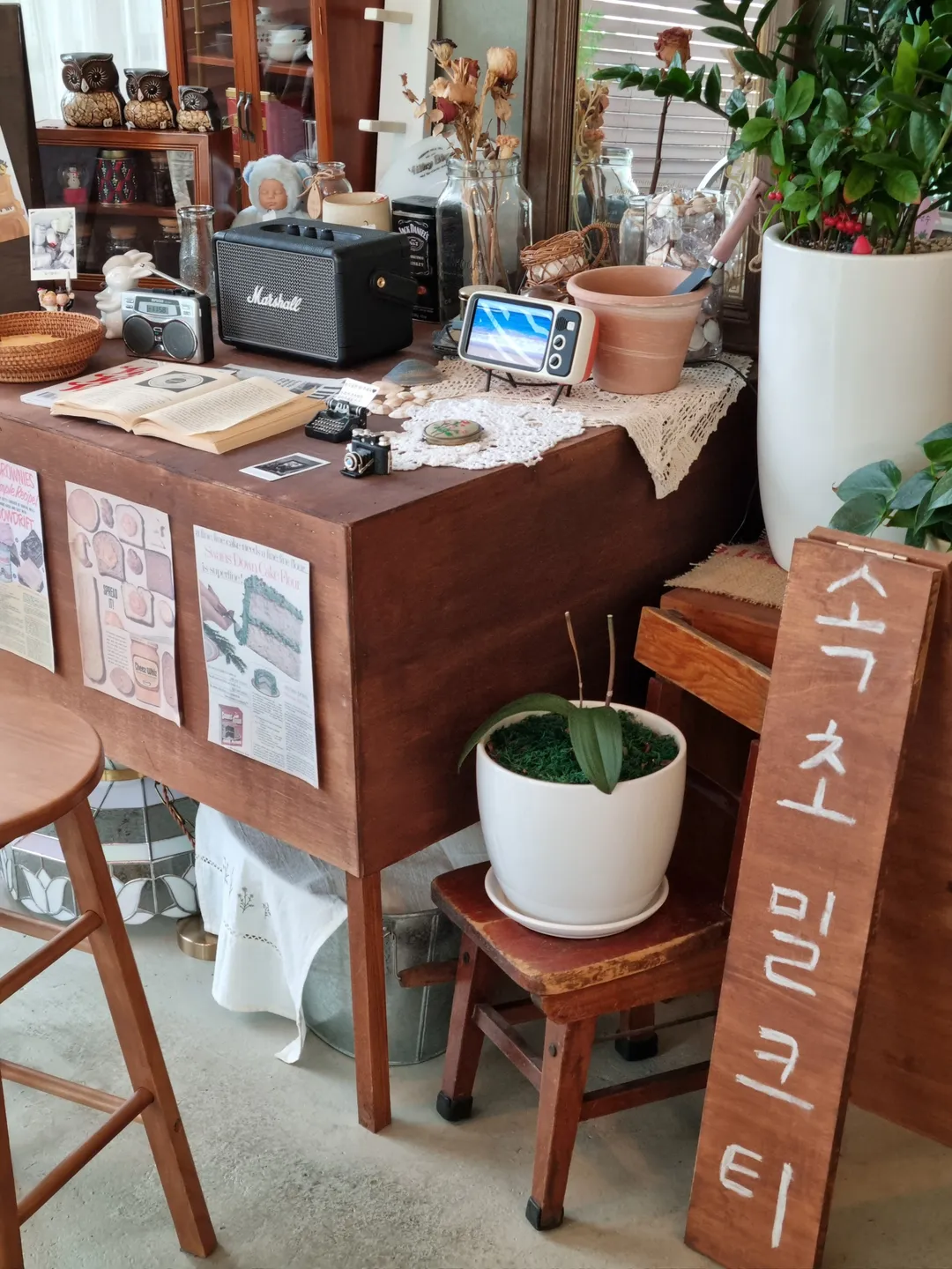 밀키블루스 사진 6
