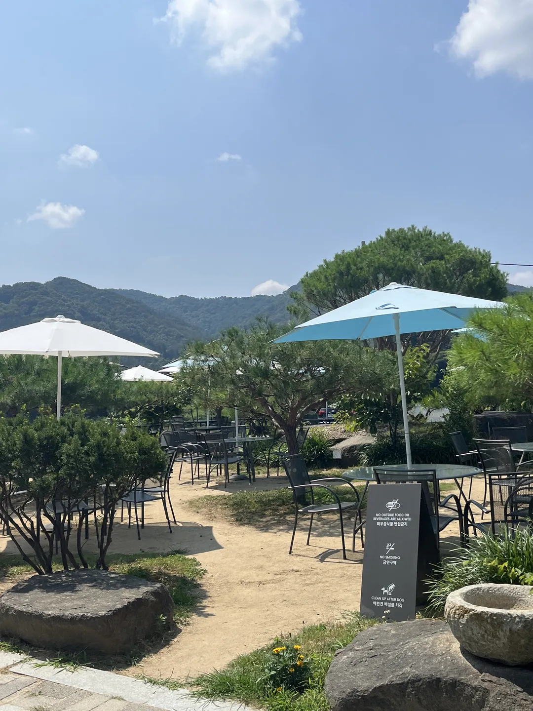 팡시온 사진 6