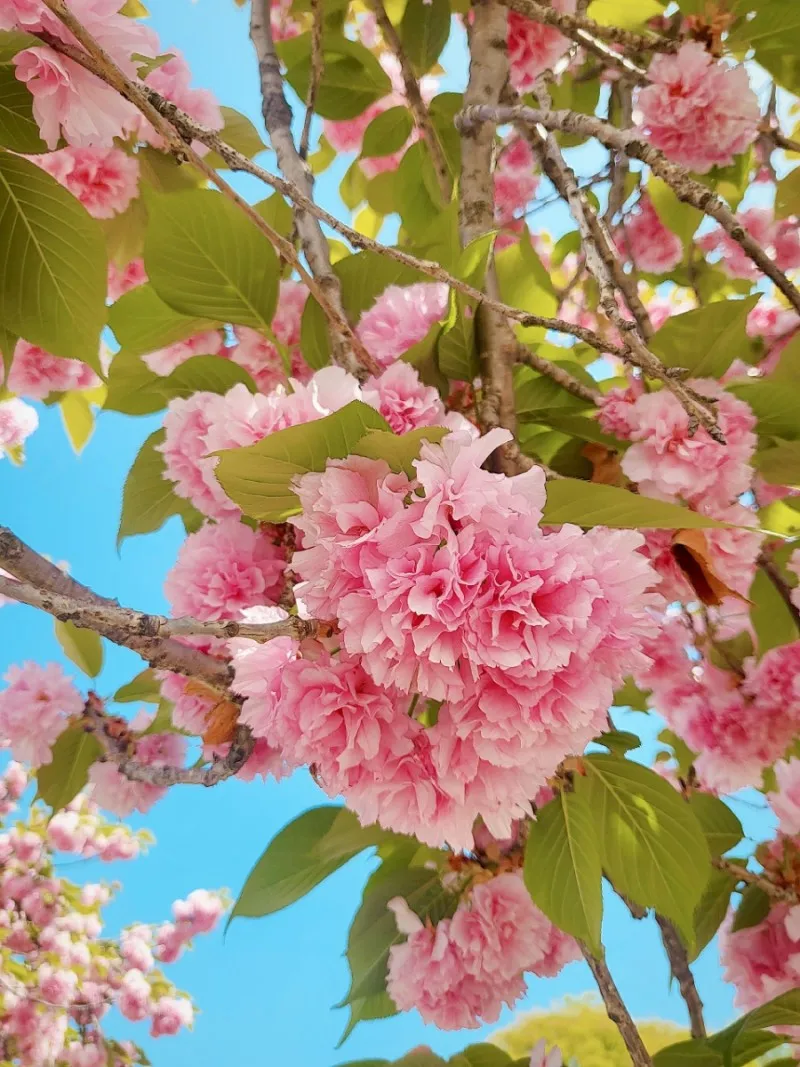 미사경정공원 사진 8