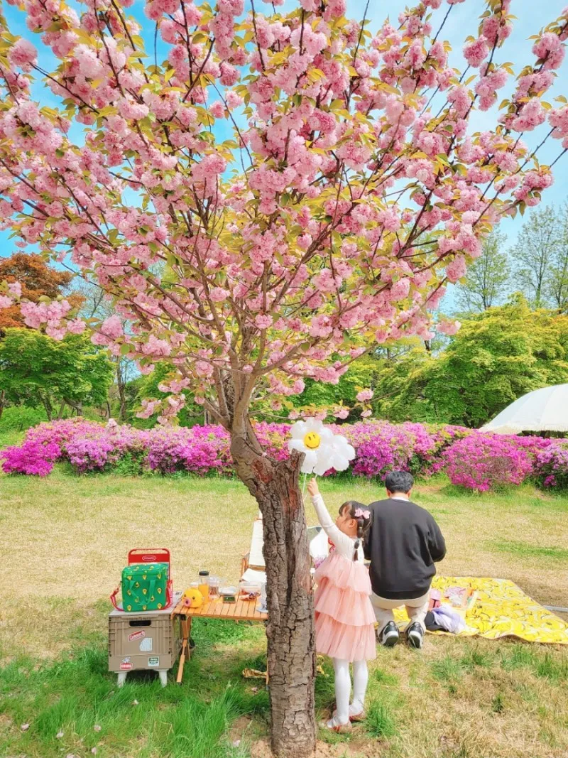 미사경정공원 사진 6