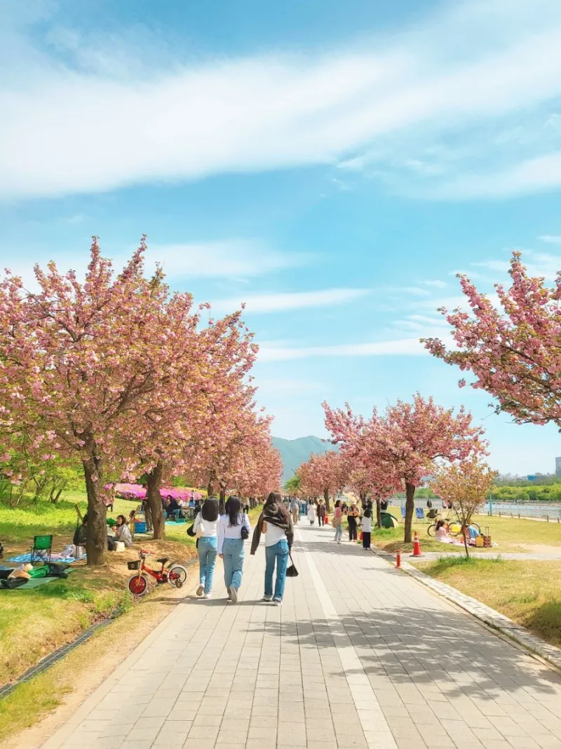 미사경정공원 사진 9