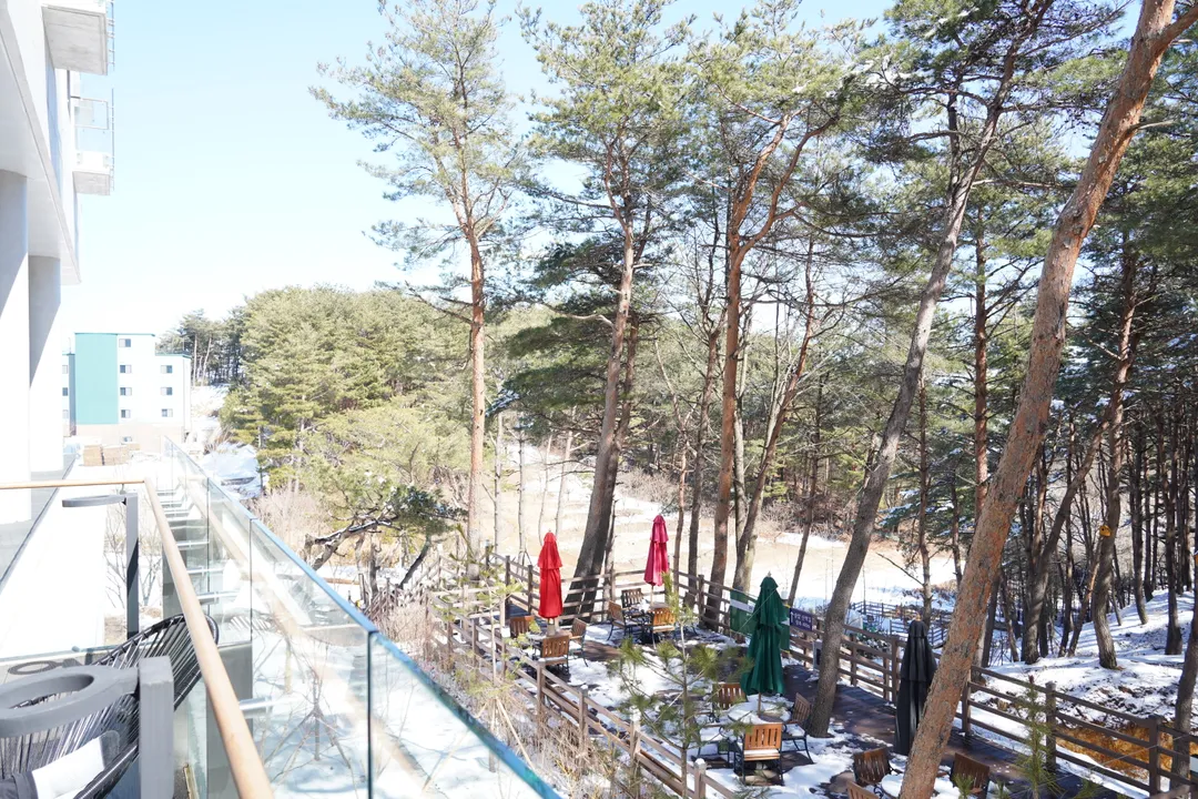 카페 로그 사진 8