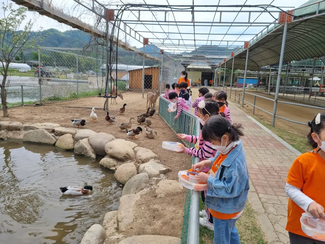 Hongcheon Donkey Village photo 6