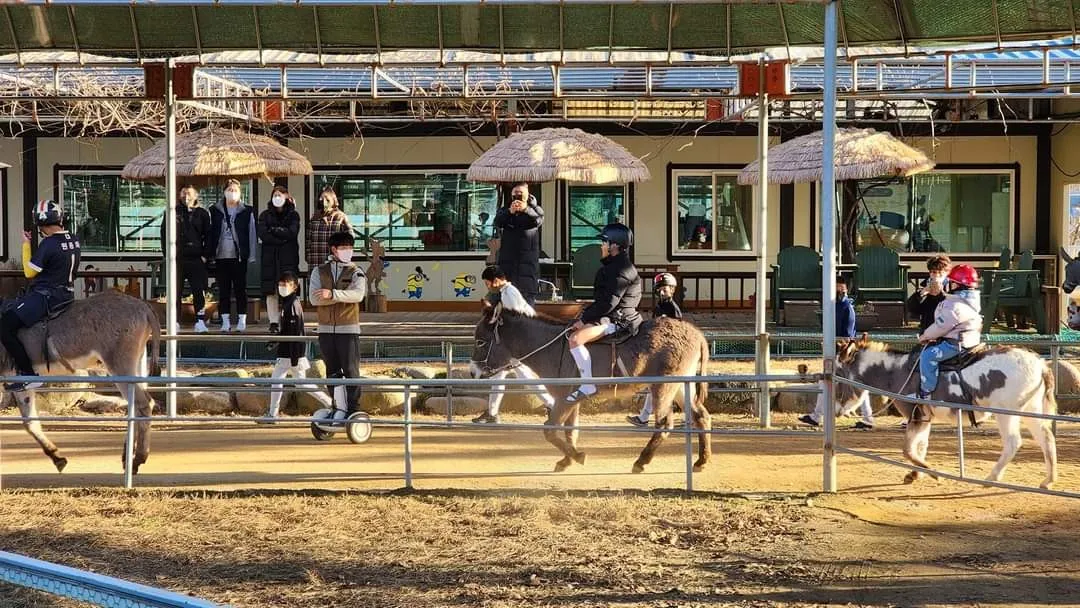 Hongcheon Donkey Village photo 7