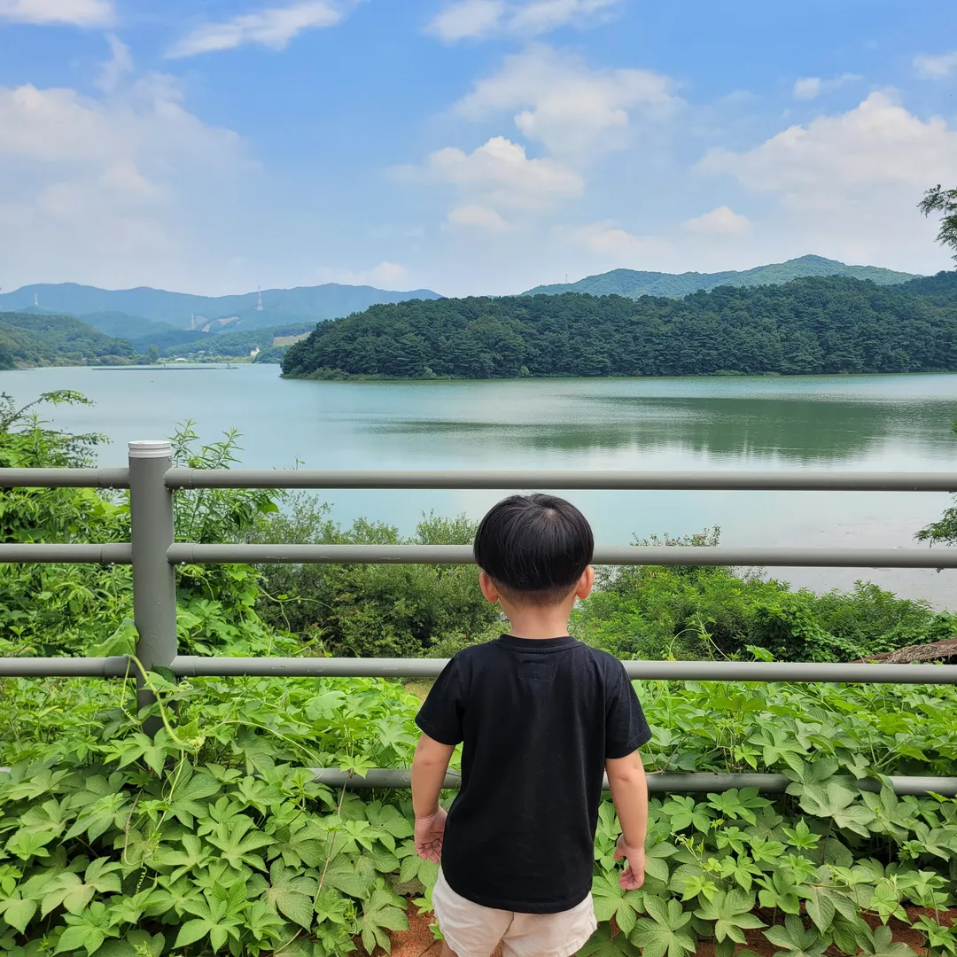 찻집향기