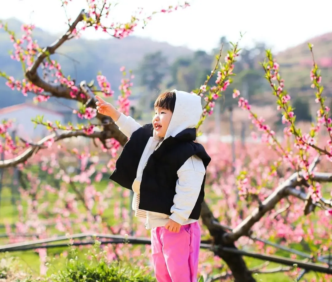 반곡지
