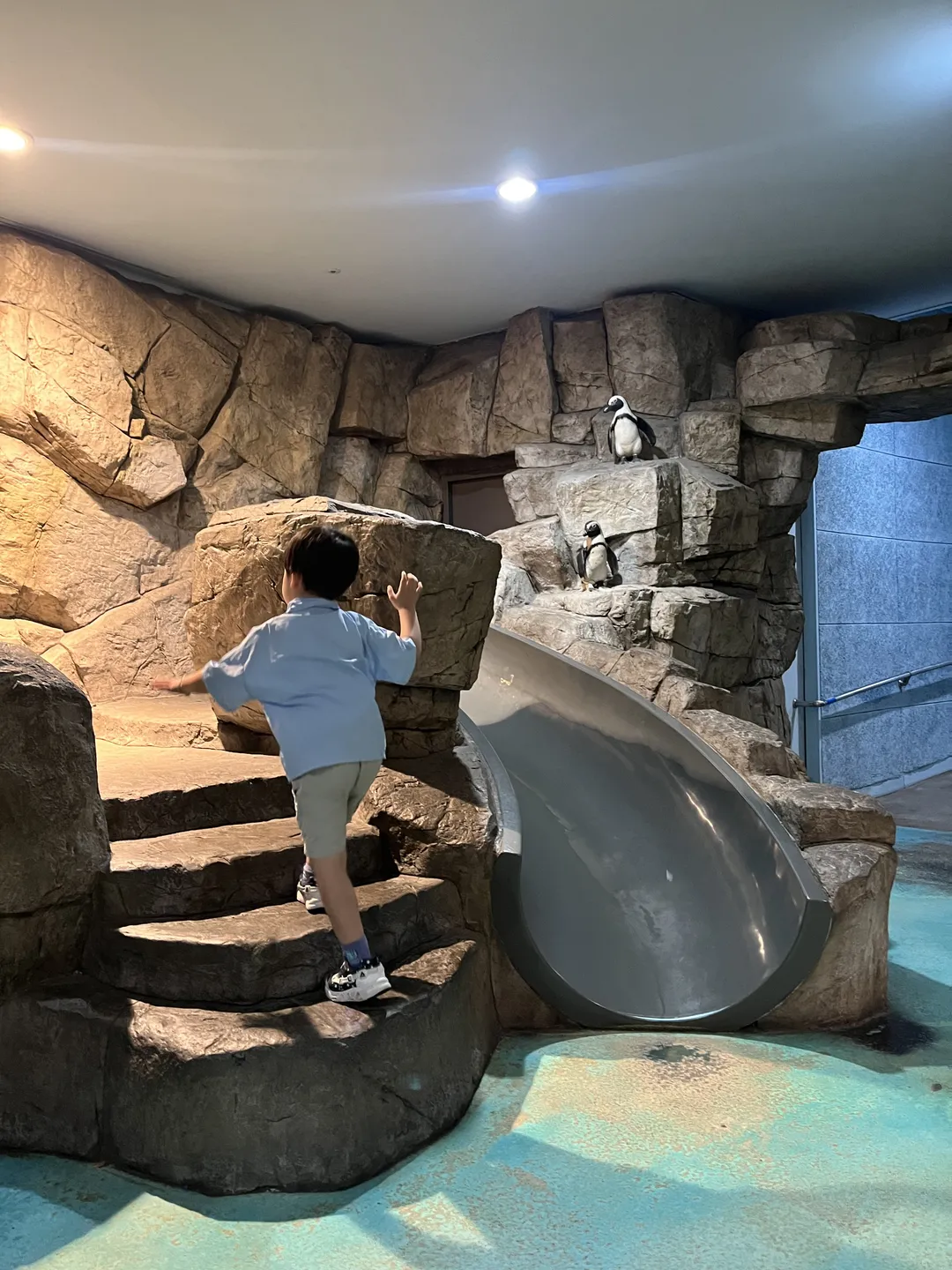 아쿠아플라넷 일산 사진 7