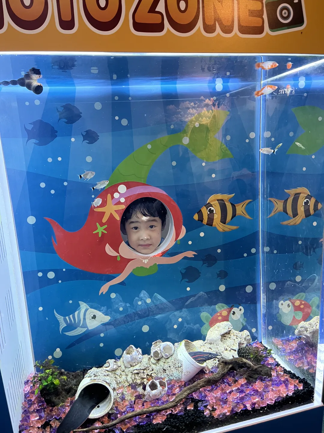 아쿠아플라넷 일산