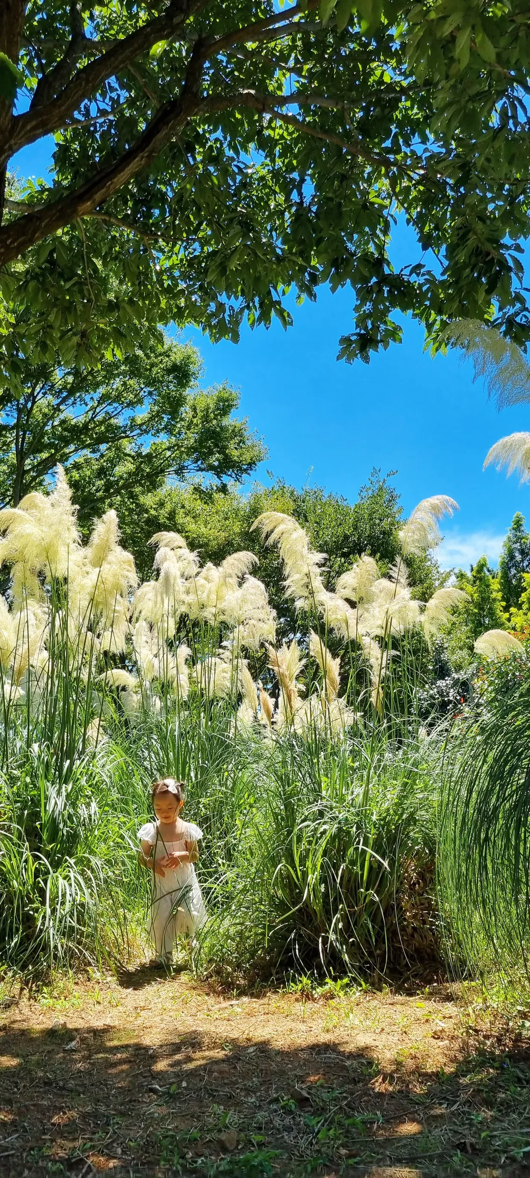 청산수목원