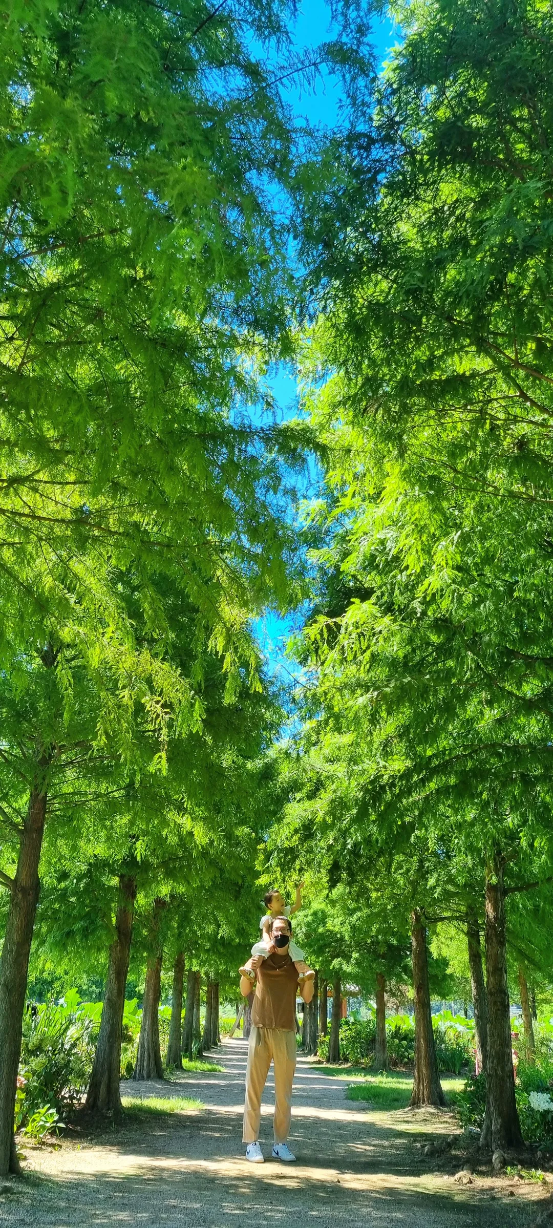 청산수목원 사진 6