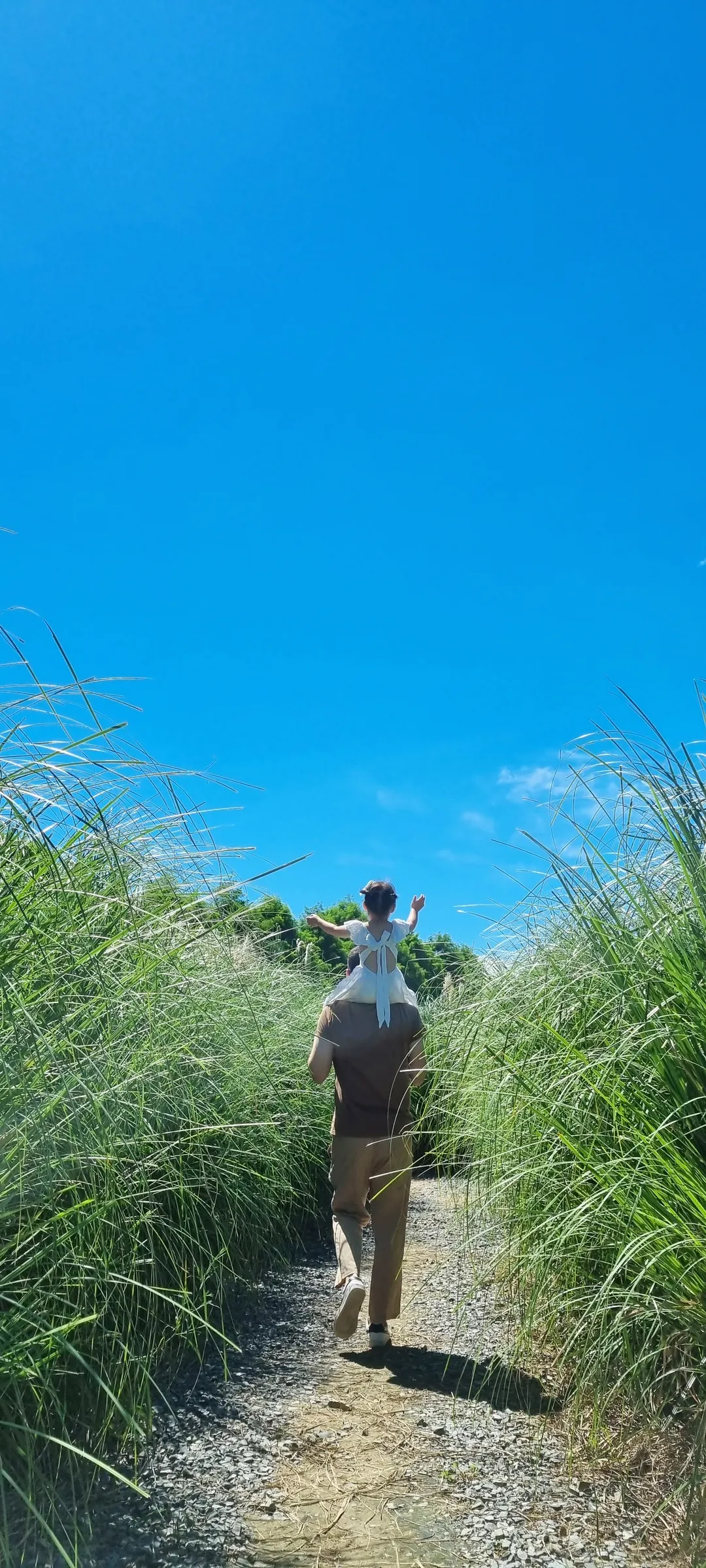 청산수목원 사진 11