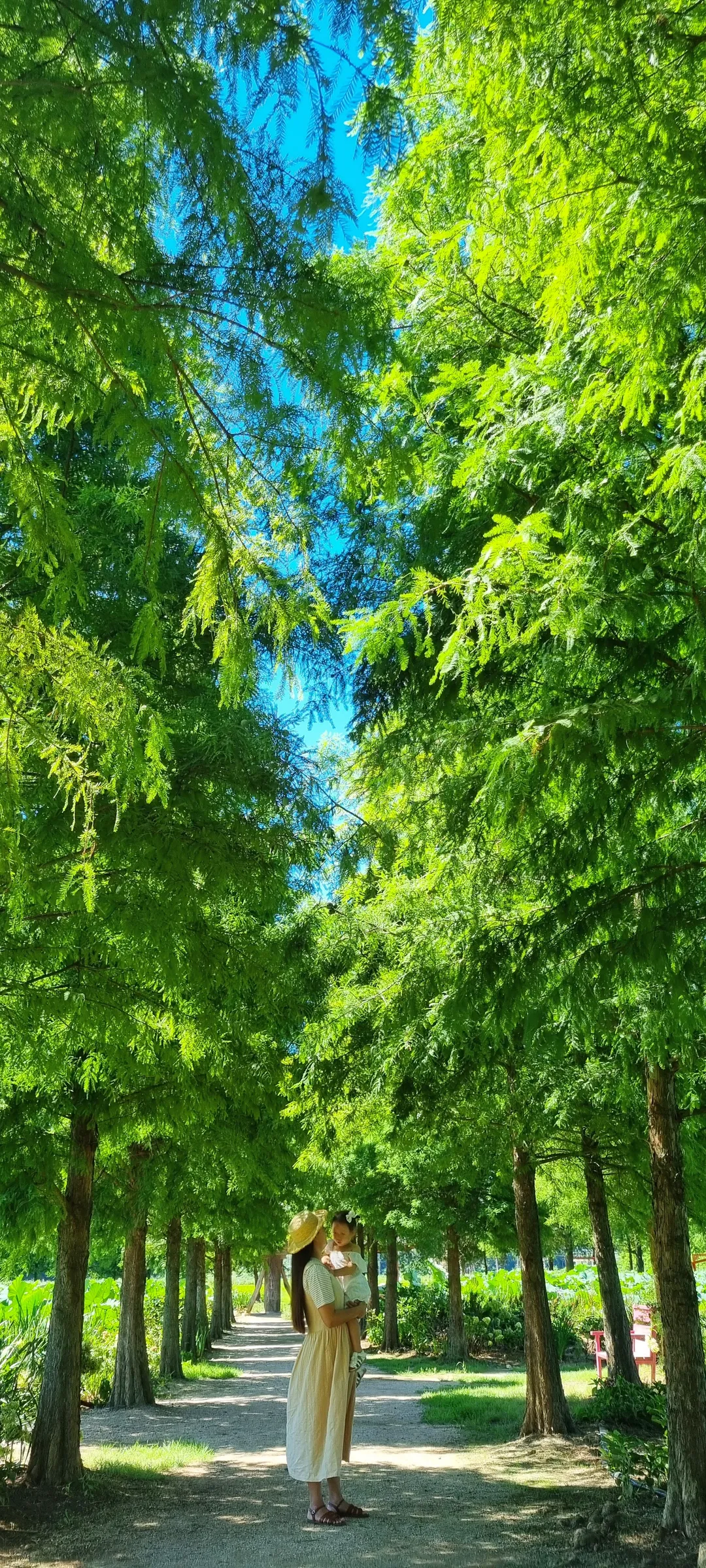 청산수목원 사진 10