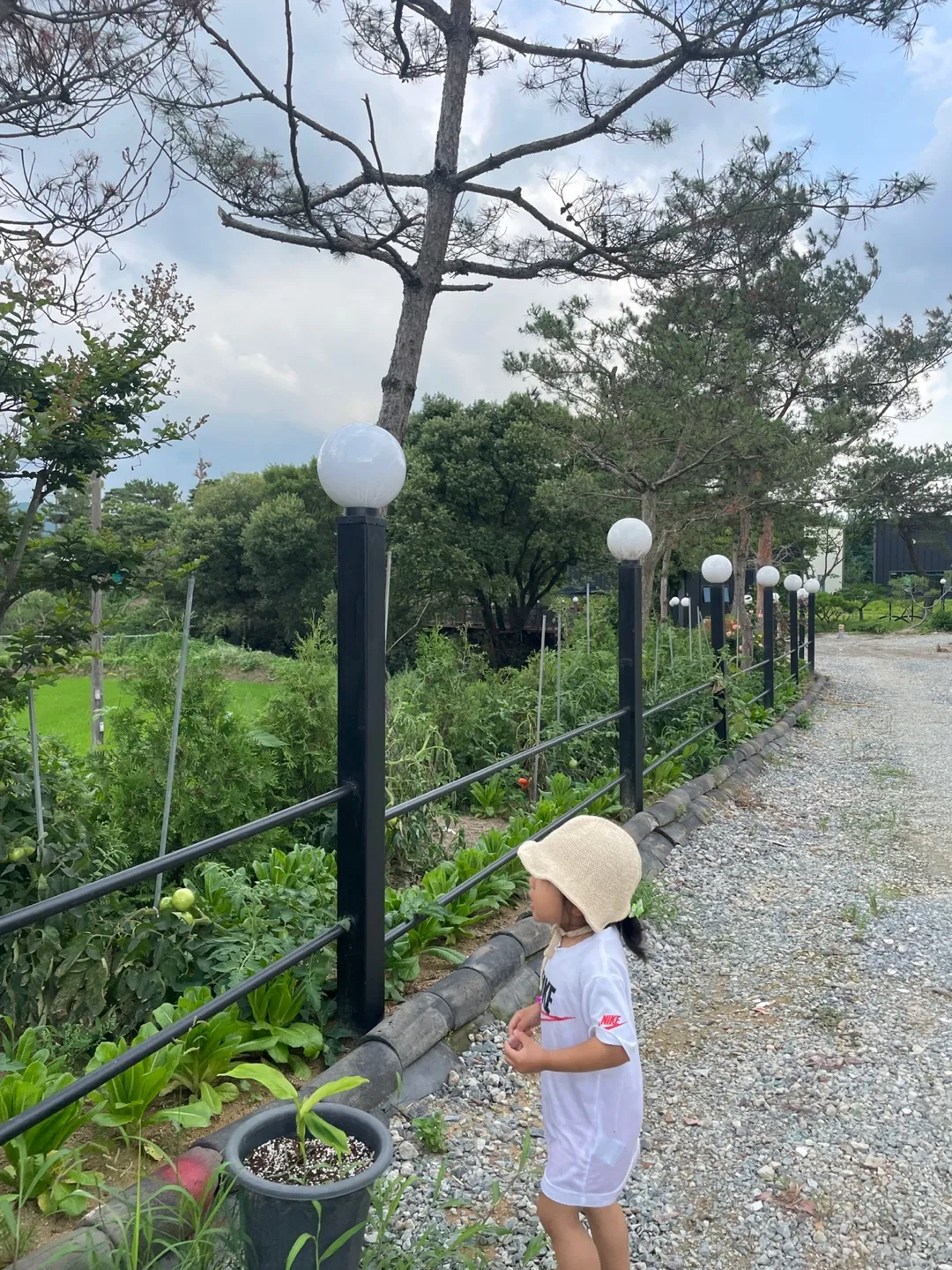 그곳 숲안골