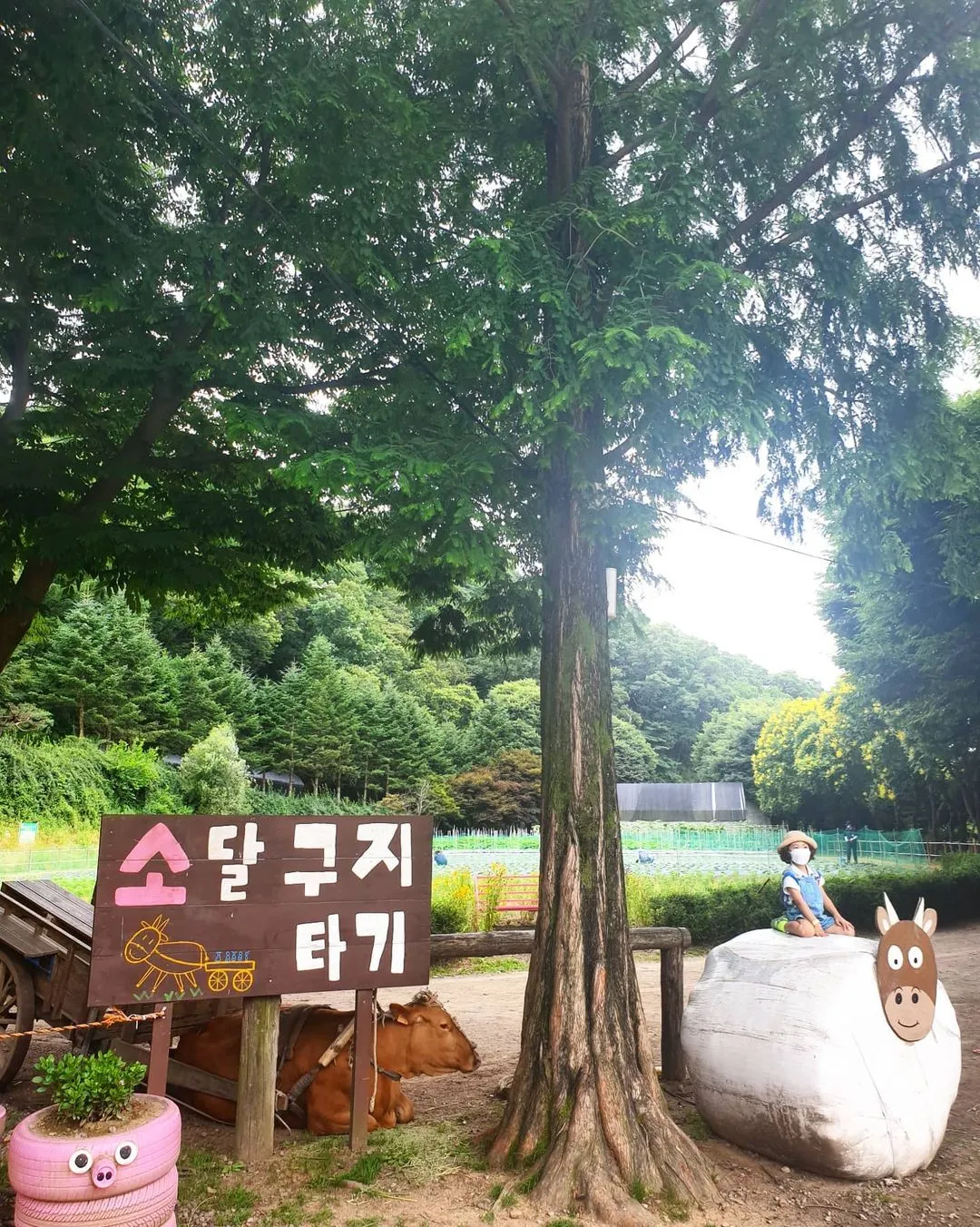 한터농원영농조합법인 사진 14
