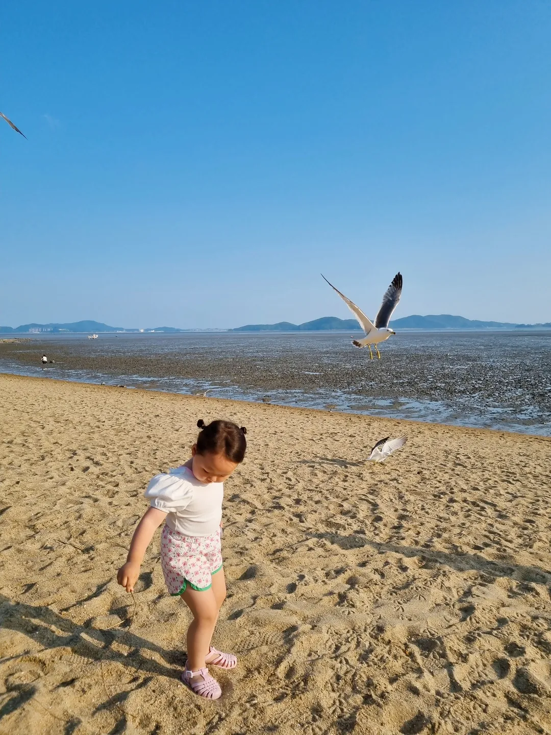 동막해변