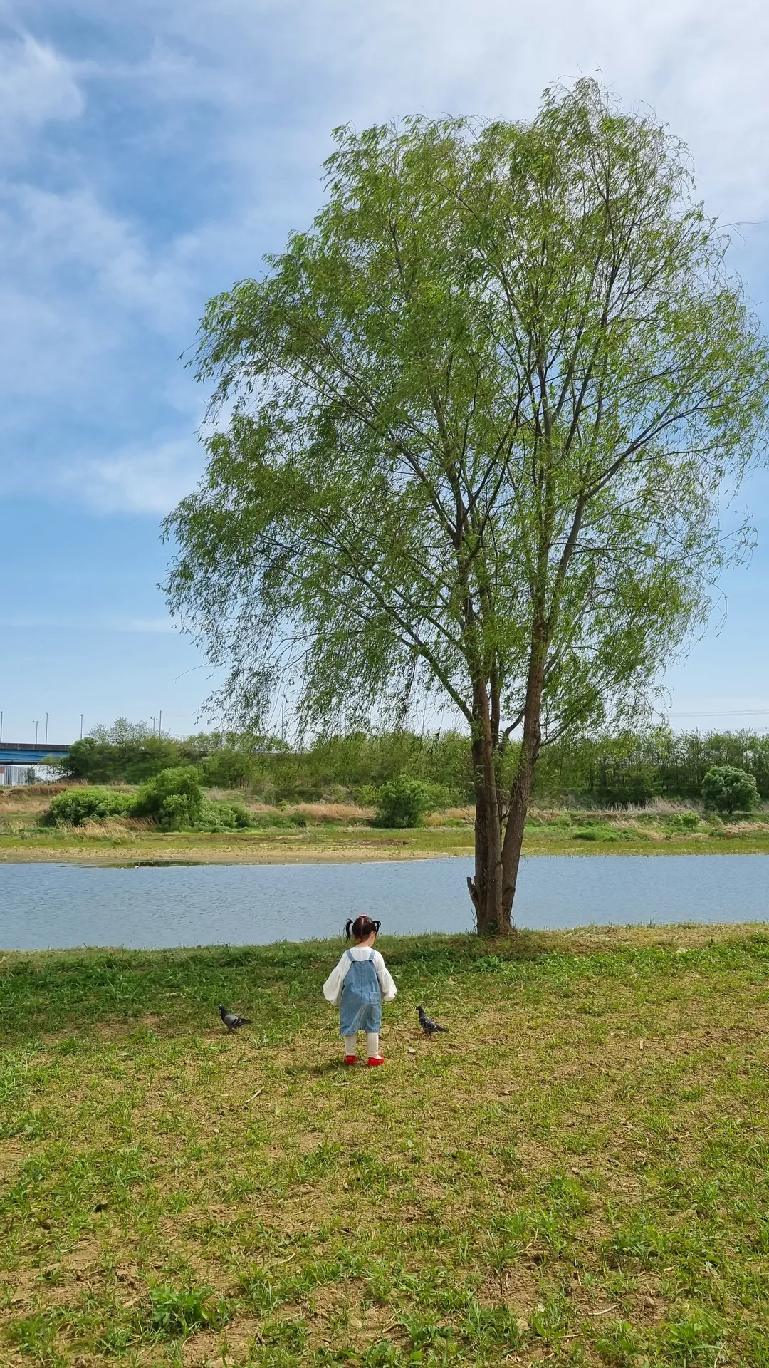 공릉천 사진 11