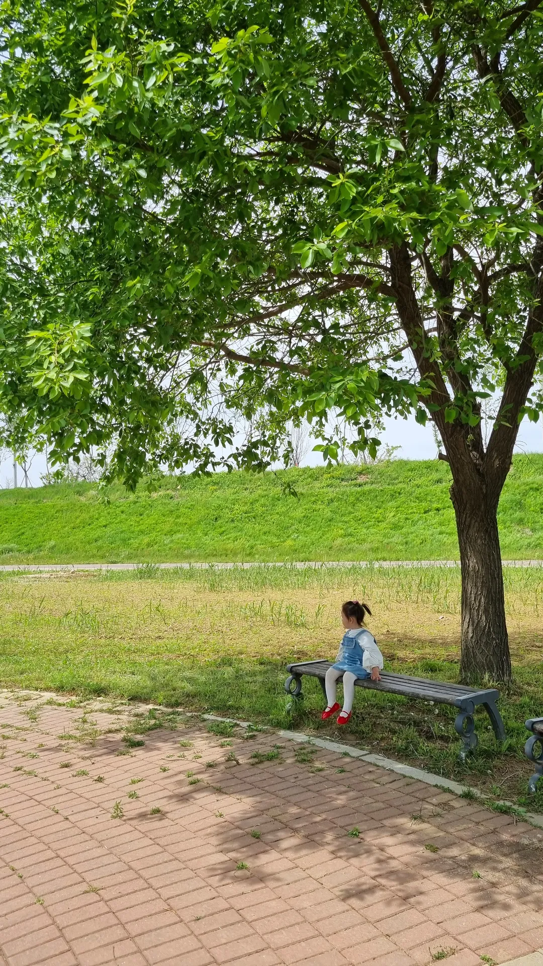 공릉천 사진 10