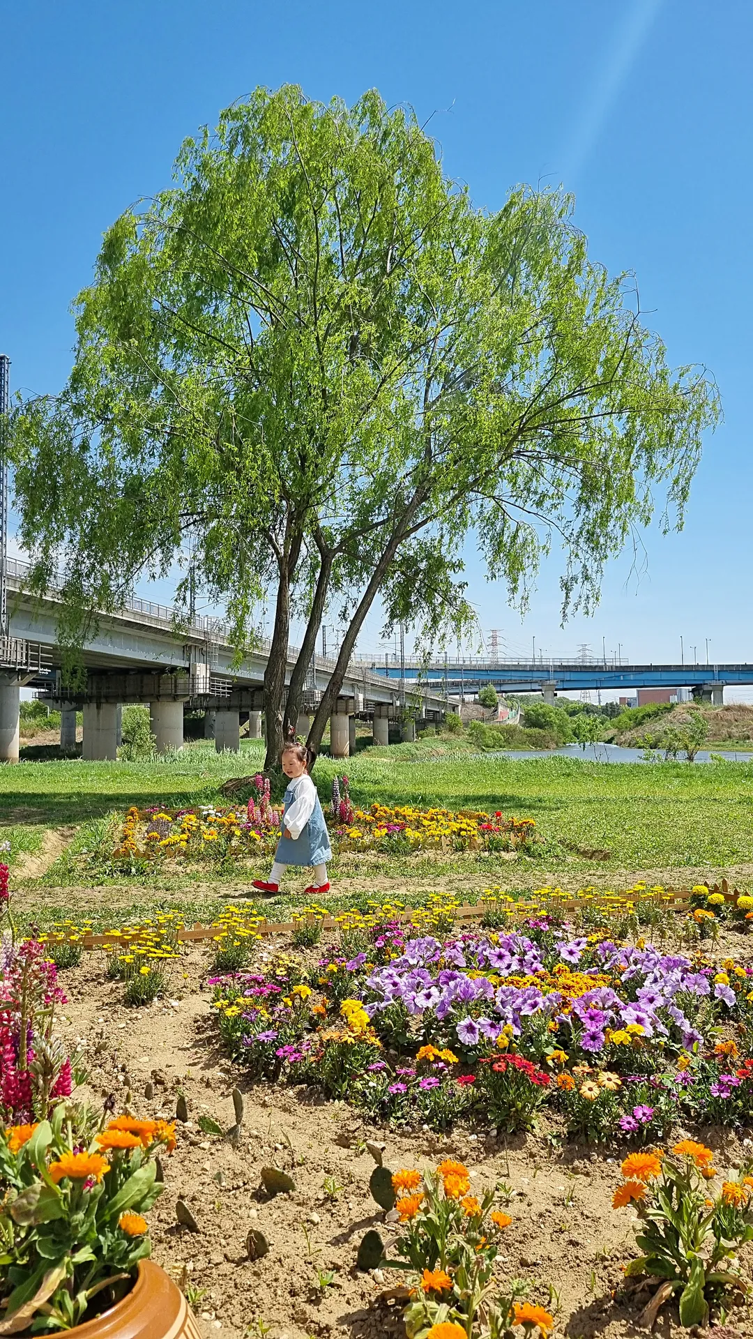 공릉천 사진 8