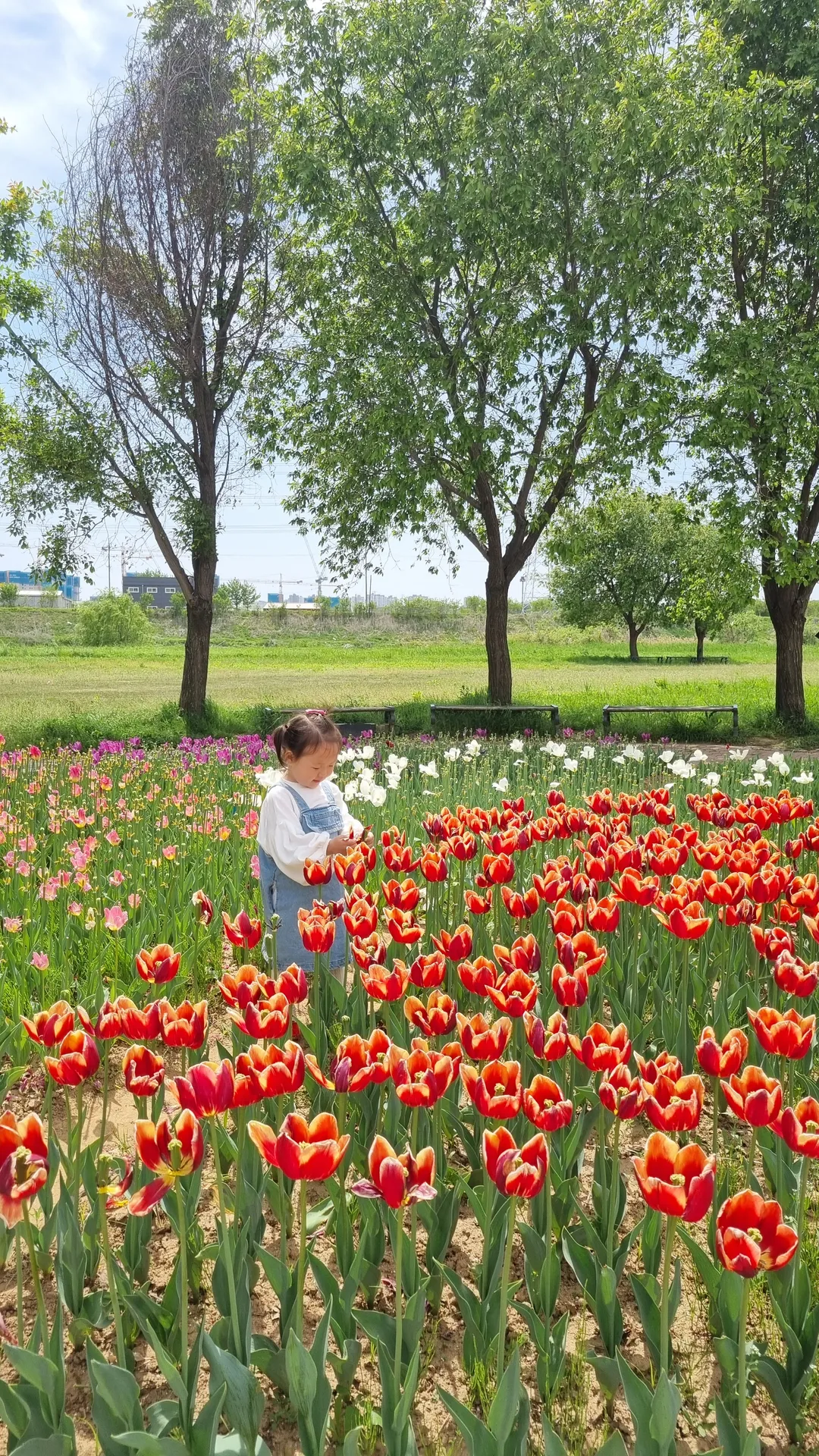 공릉천 사진 9