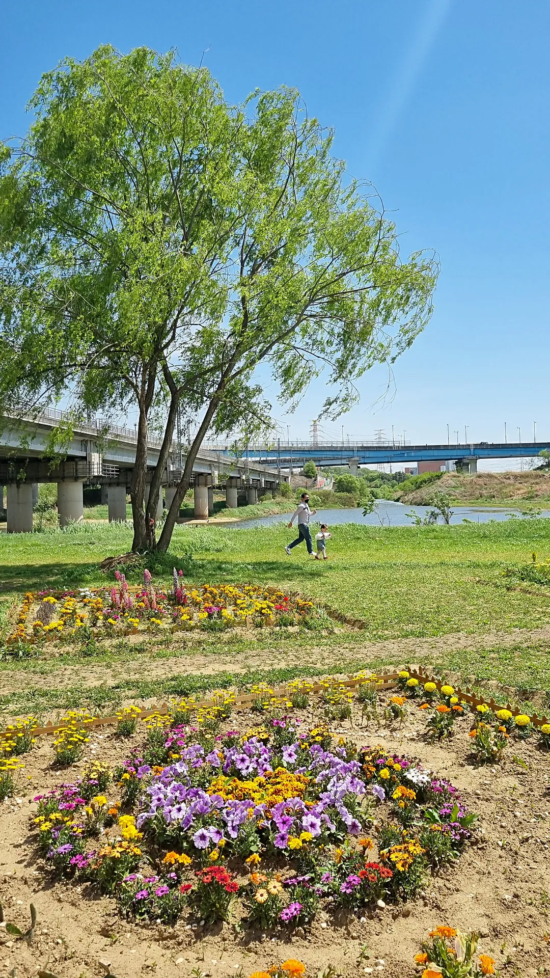 공릉천 사진 7