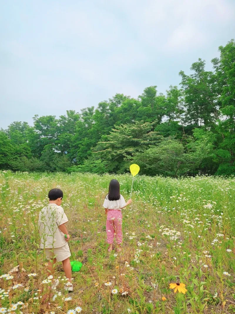 리틀포레스트 키즈풀 워터룸 파티룸 사진 15
