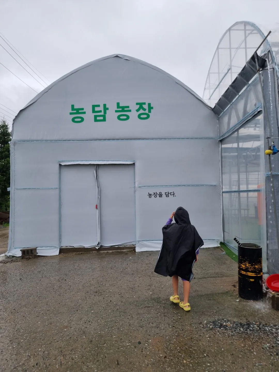 ノンダムイチゴ農場 写真 13