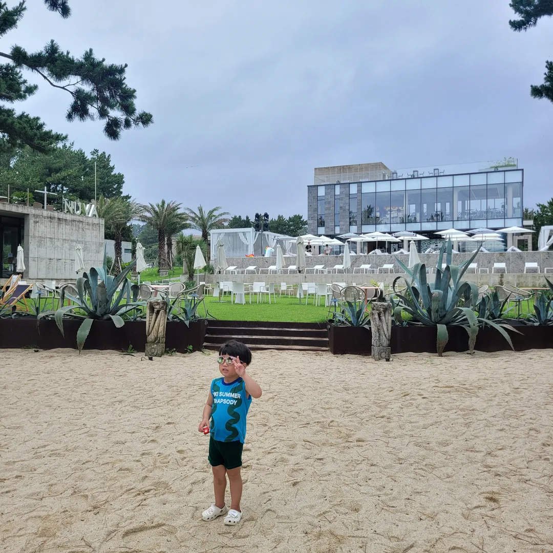 누바비치