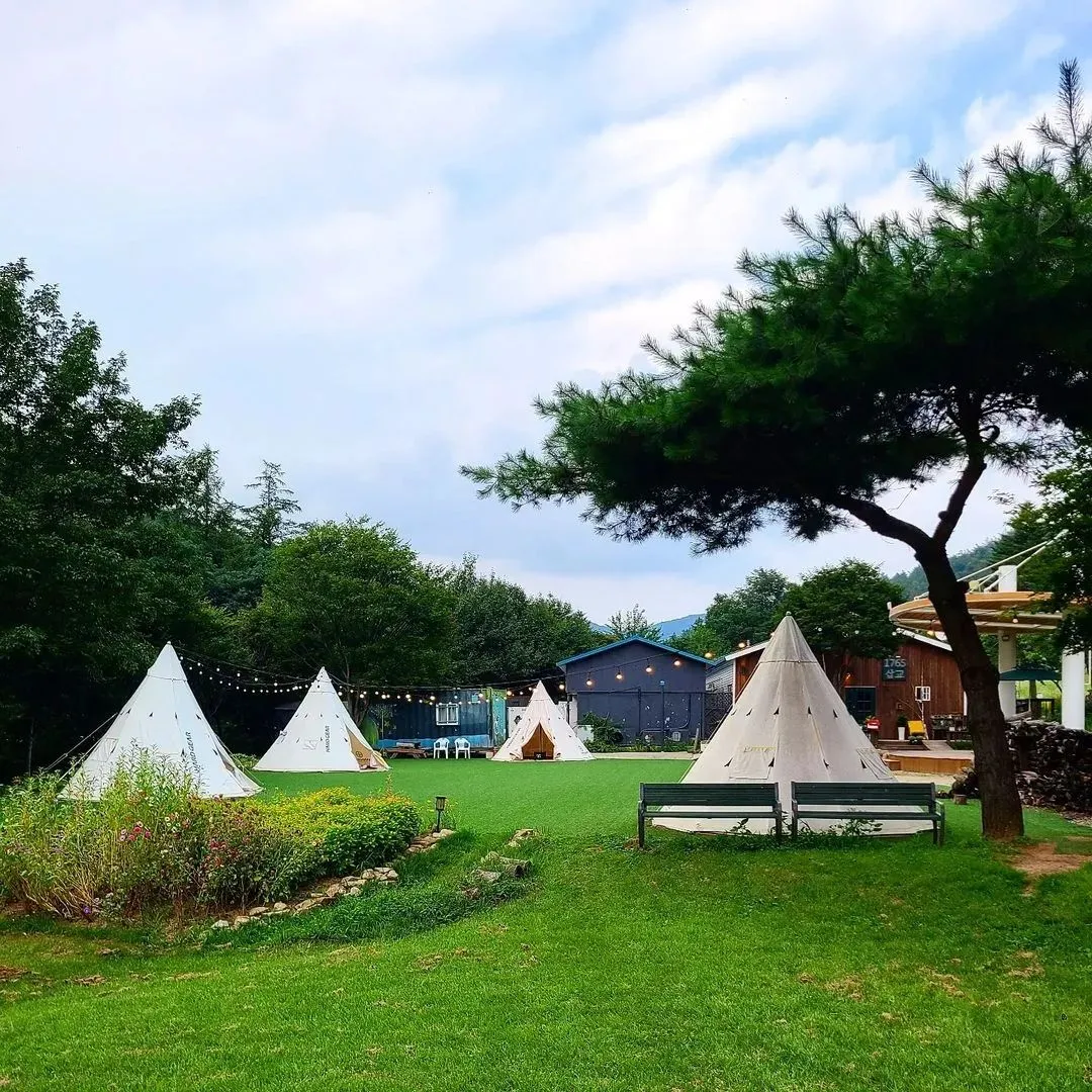 1765삽교 사진 9