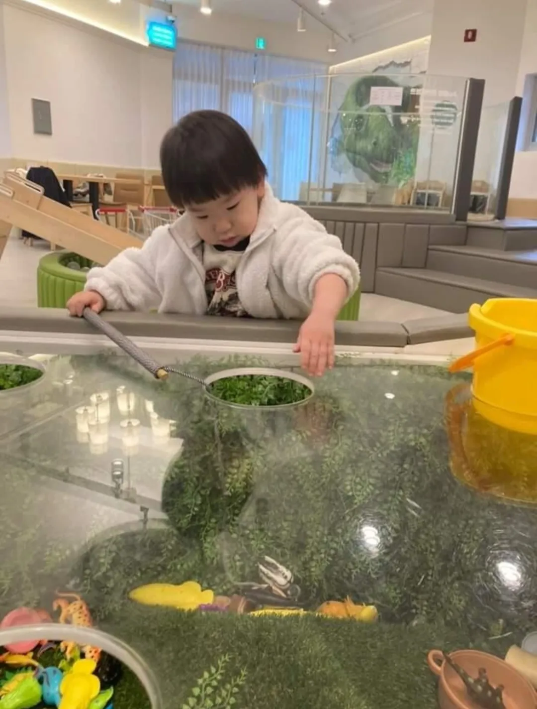 슈슈봉봉디노