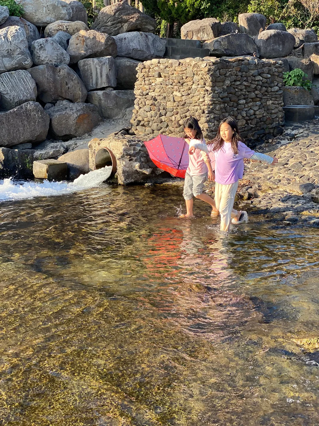 Harakeke photo 14