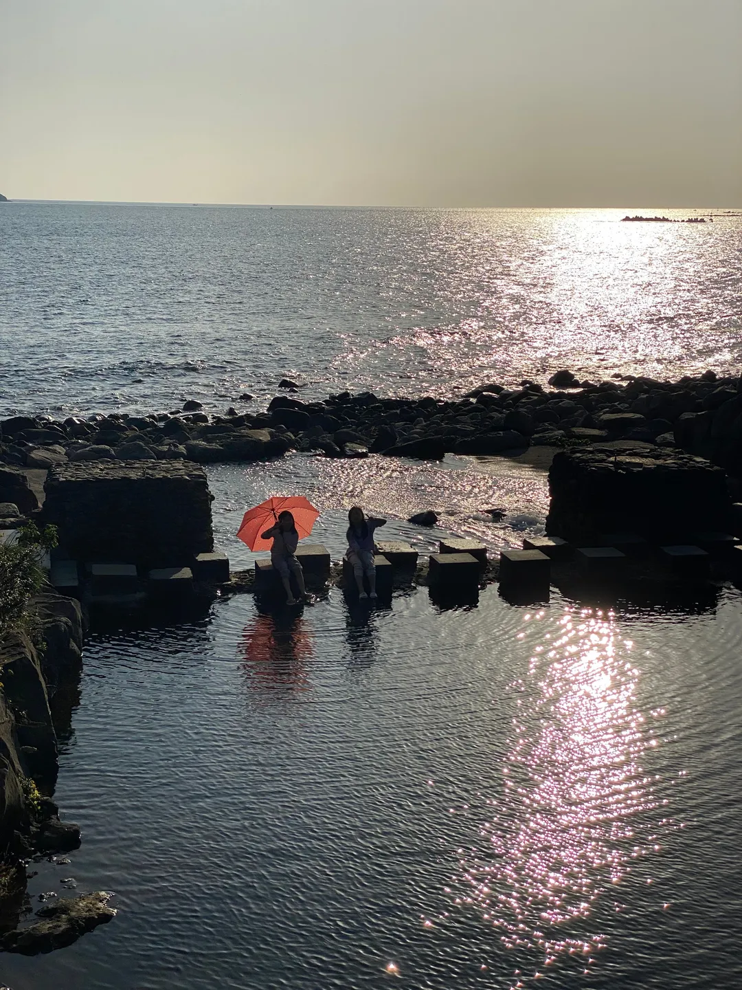 Harakeke photo 17