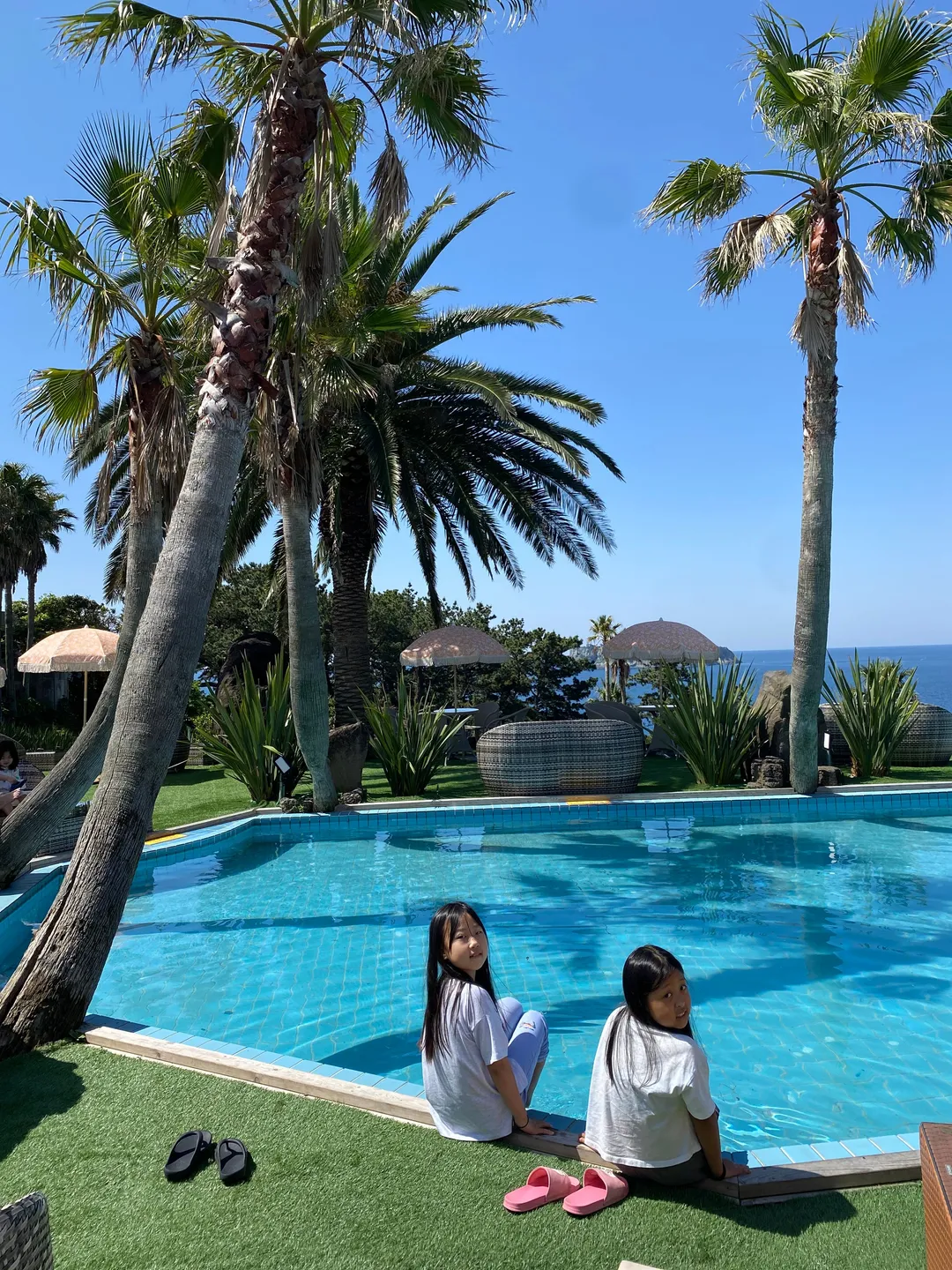 Harakeke photo 18