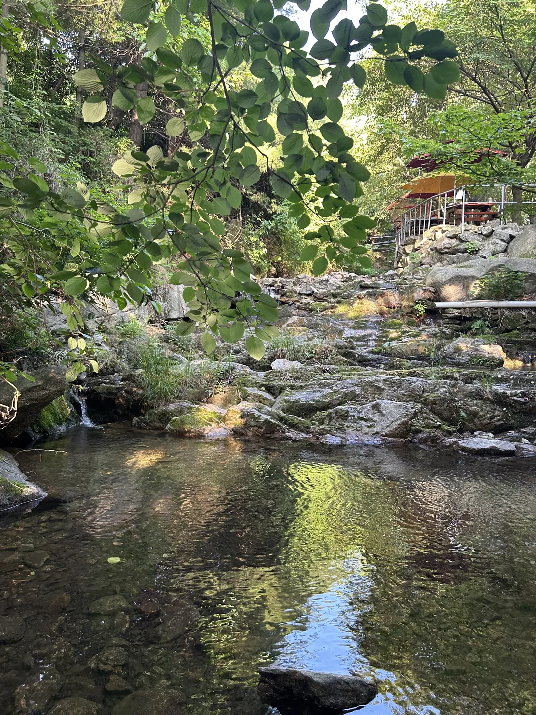 大闕山荘 写真 12