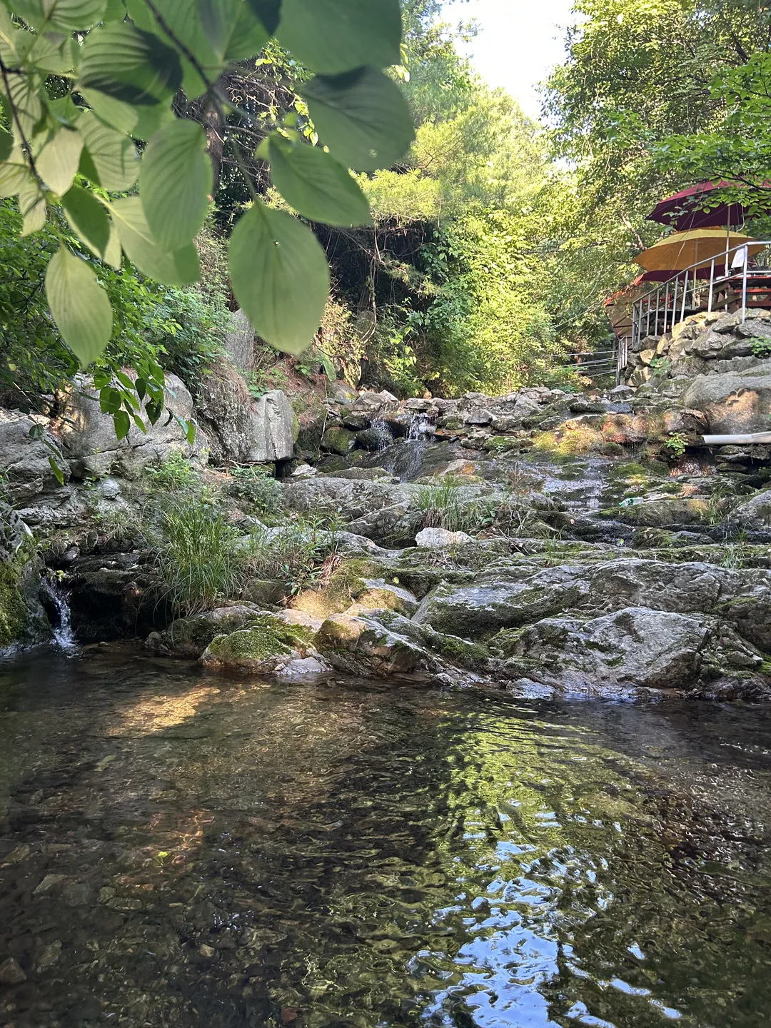 大闕山荘 写真 6
