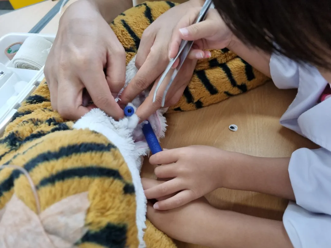 京畿道北部野生動物救護管理センター <漣川野生動物生態学習場> 写真 13