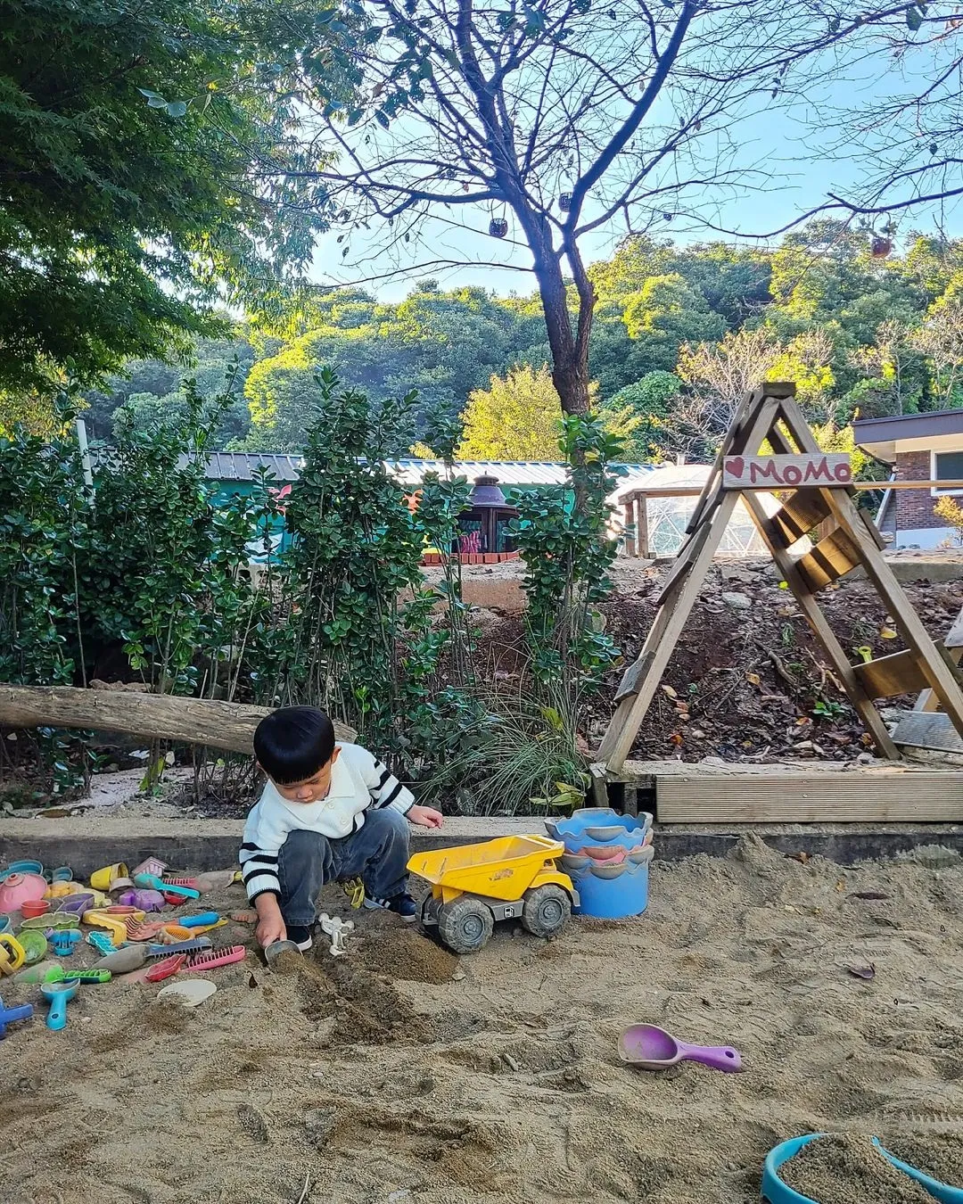 모모아트