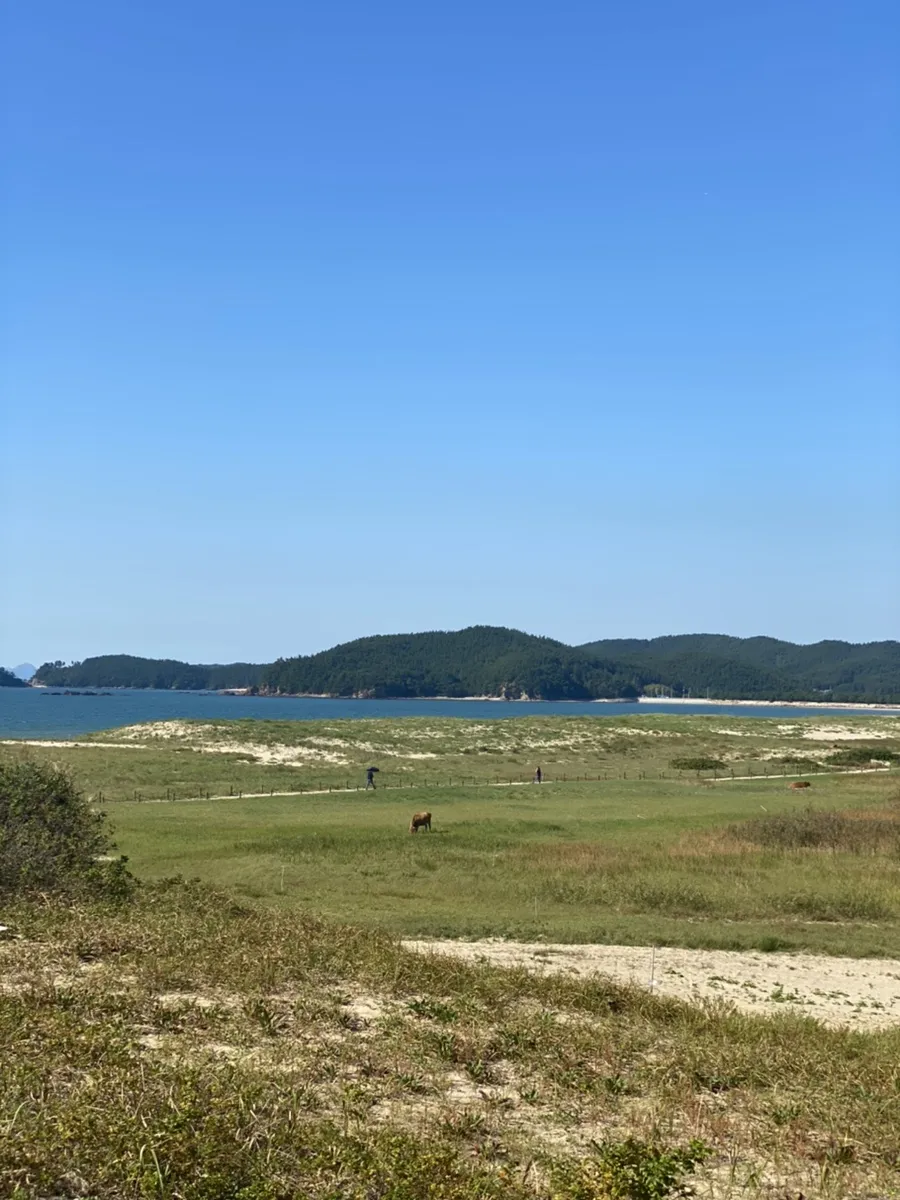 태안신두리해안사구