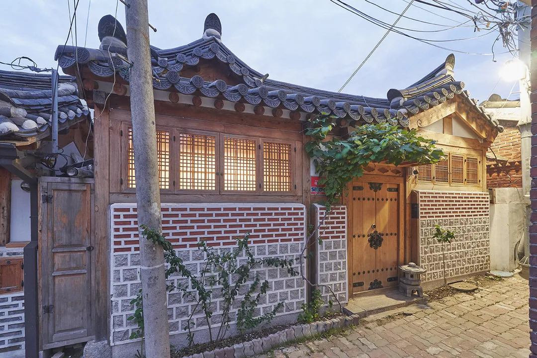 일독일박 사진 15