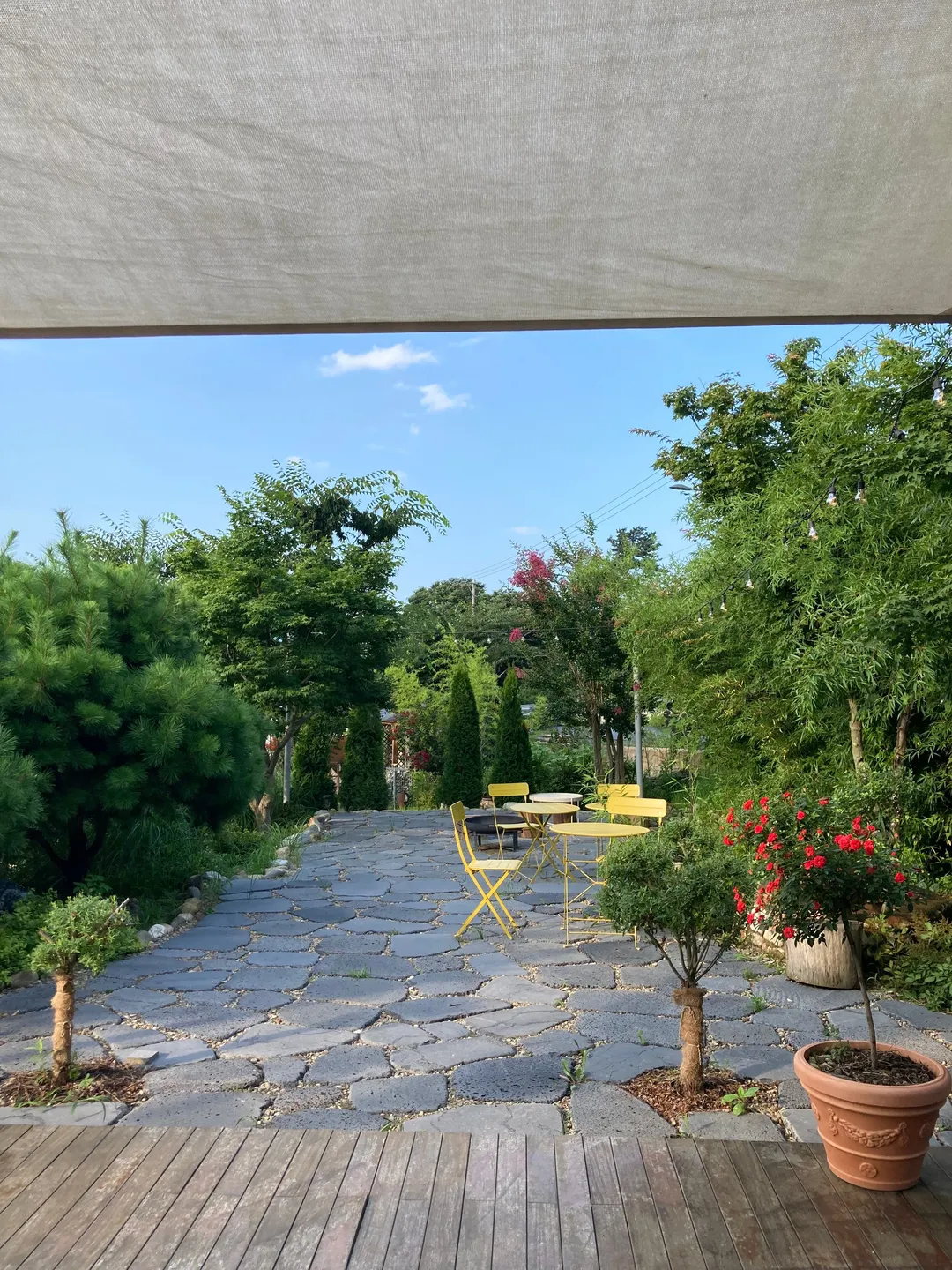 Hello Sunshine photo 29