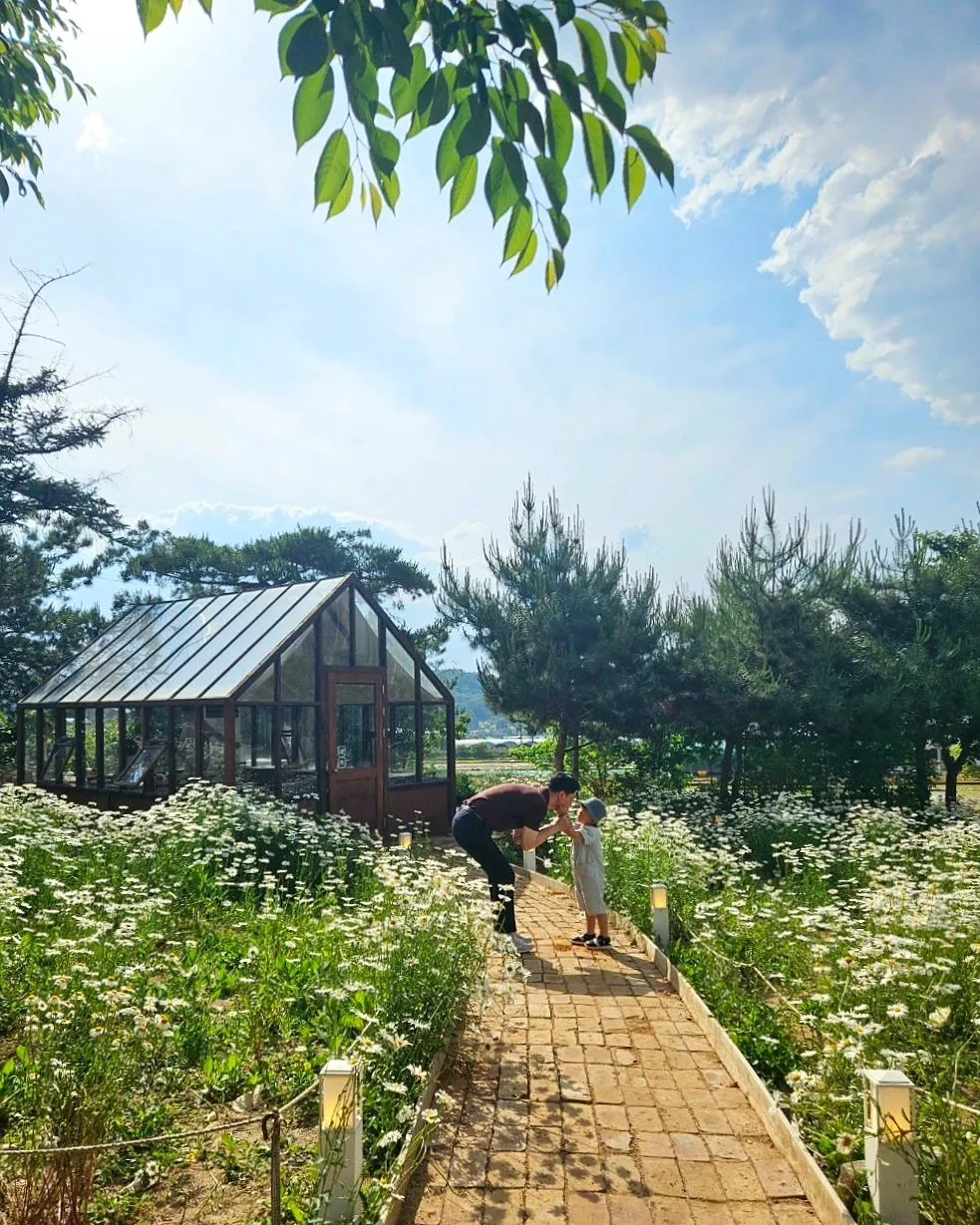 이숲