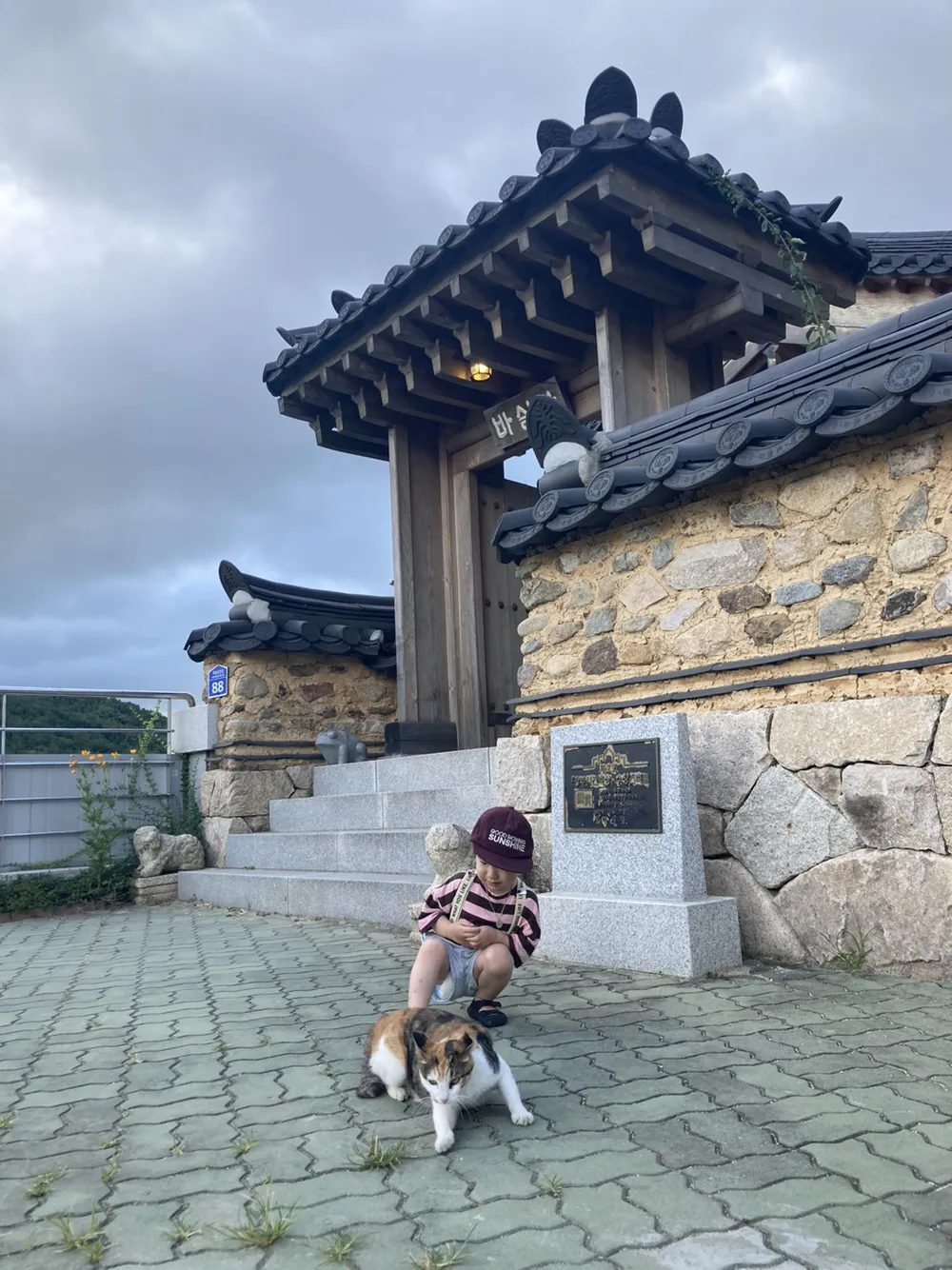 バシラ 写真 11