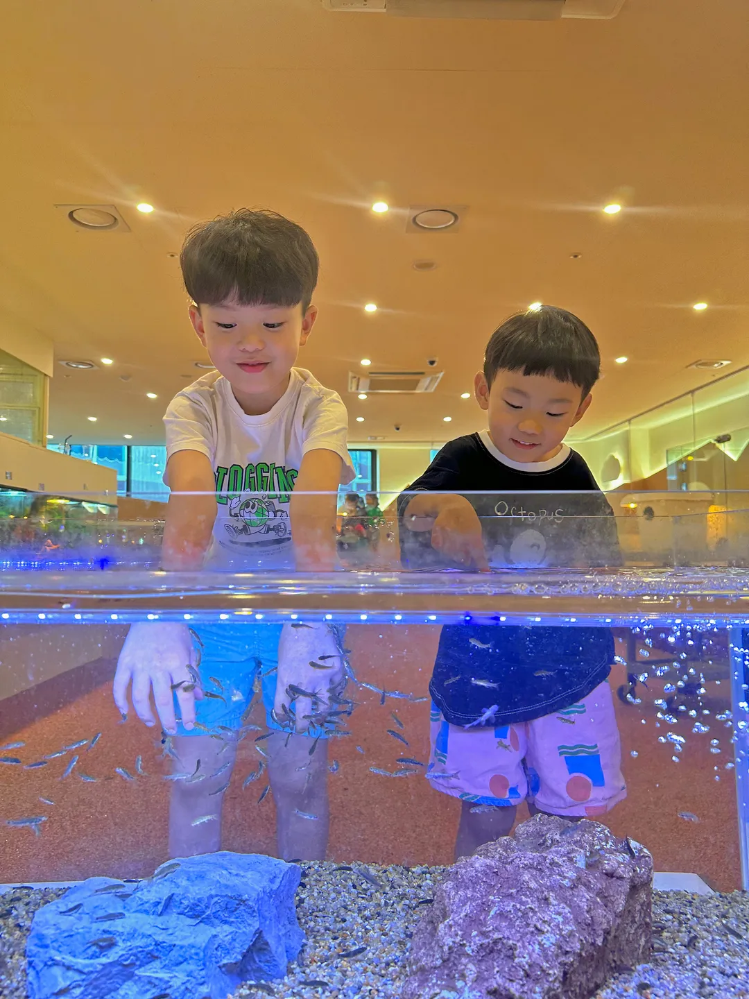 테이블에이 다산점 사진 11