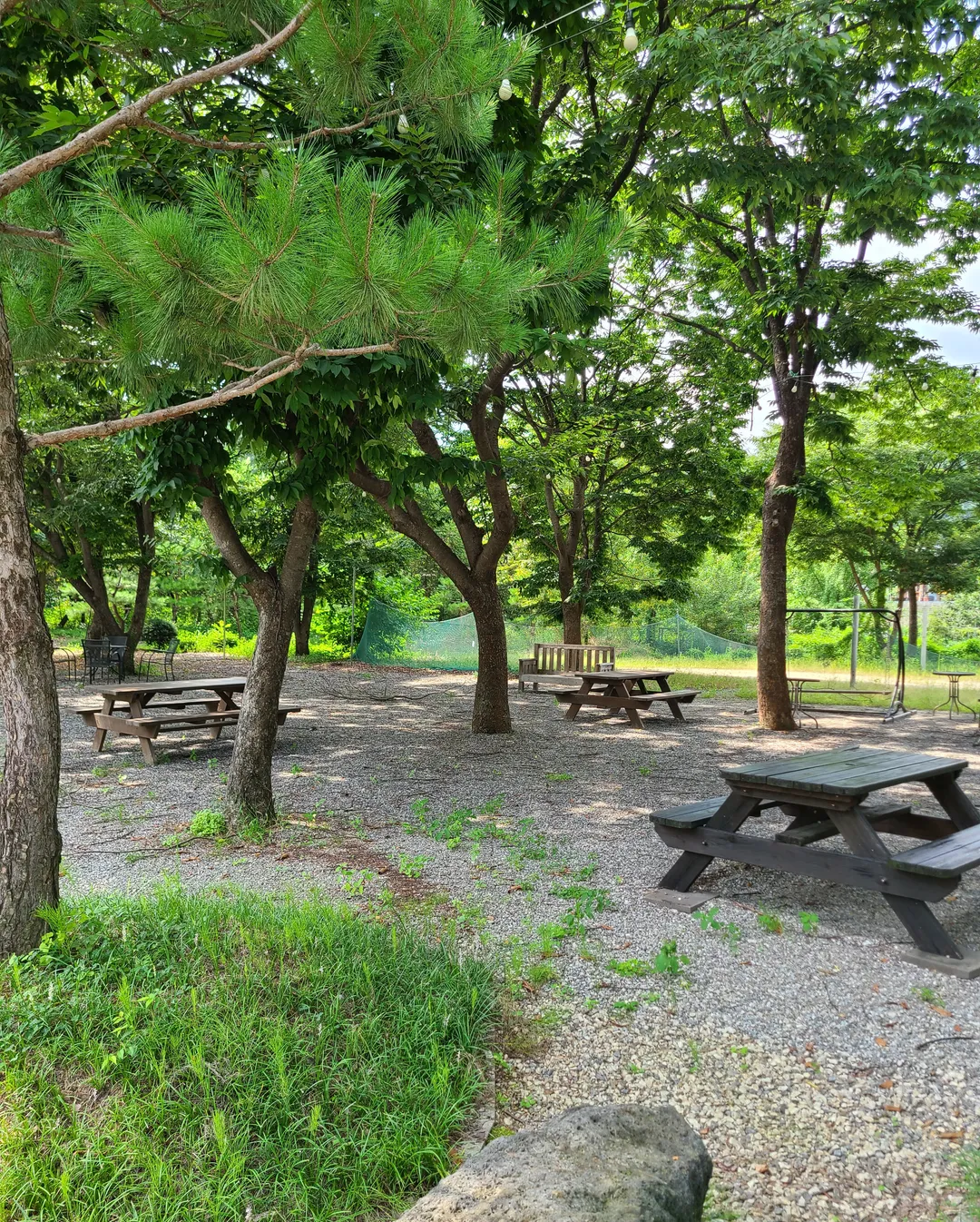 카페숲숲 사진 6
