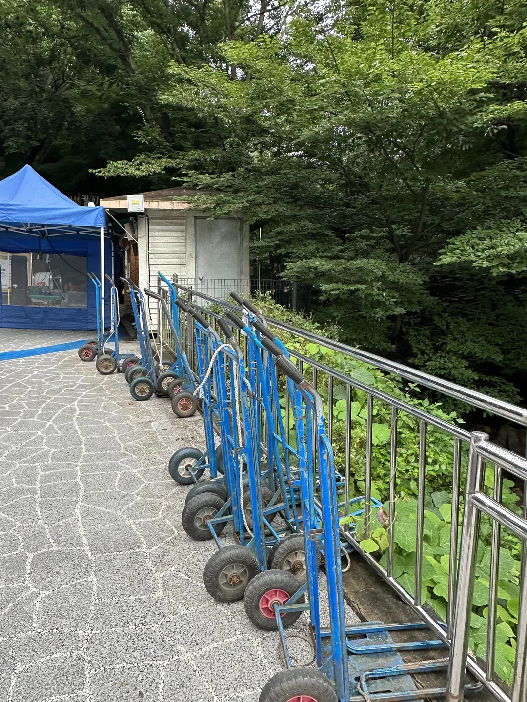 서울대공원 캠핑장 사진 8