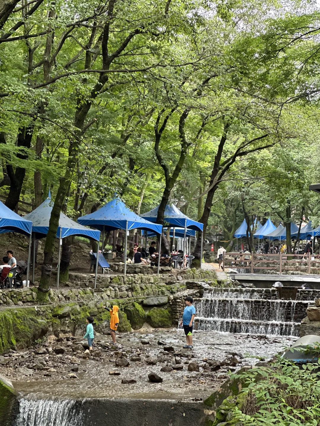 서울대공원 캠핑장 사진 11