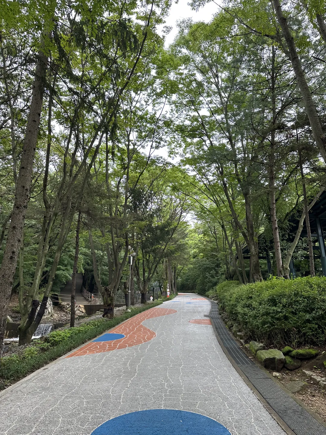 서울대공원 캠핑장 사진 27