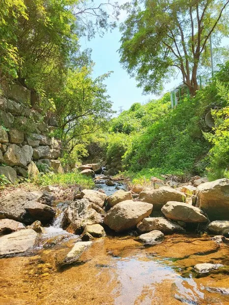 Gwanggyo Foret Youth Hostel photo 9