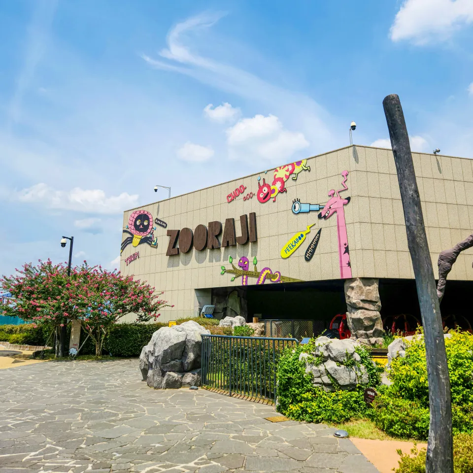 Jurassic Theme Park Daegu Shinsegae Branch photo 11
