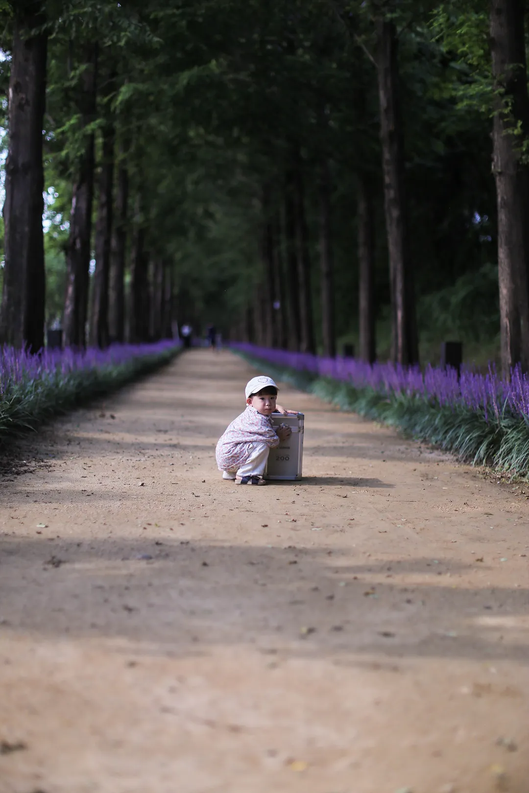 ウロジ自然生態公園 写真 6