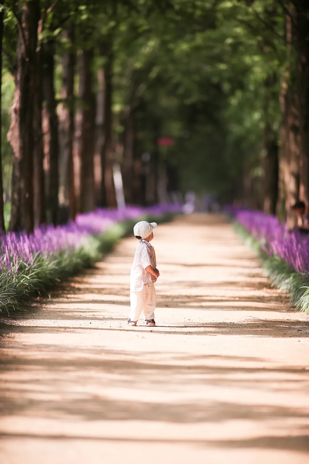 ウロジ自然生態公園 写真 7